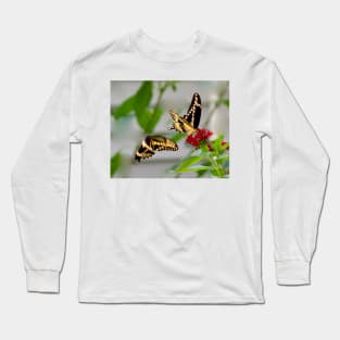 Tiger Swallowtail Courtship Long Sleeve T-Shirt